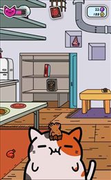 小偷猫