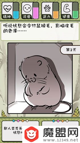 竹鼠1