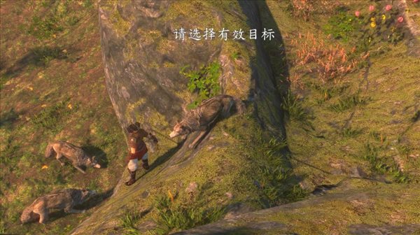 魔盟网