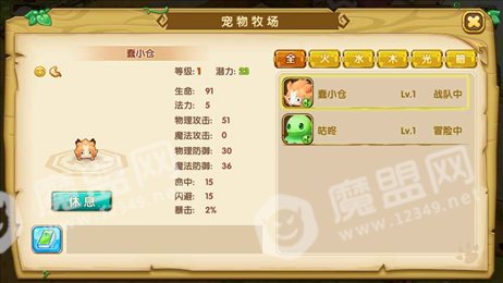 宠物迷宫手游