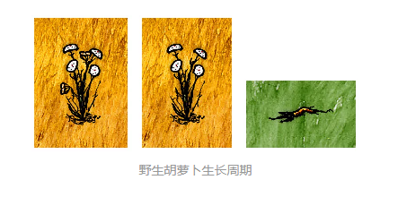 魔盟网