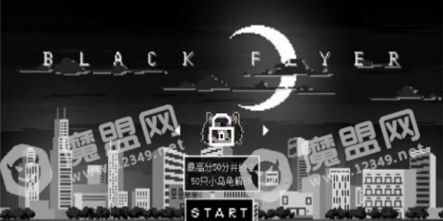 黑色飞行家