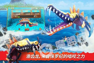 饥饿鲨进化