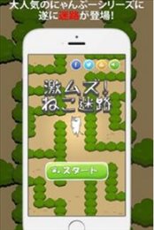 猫的迷宫