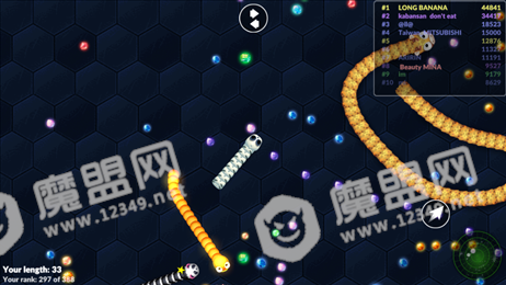 流行蛇形