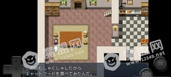 前卫的RPG2