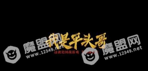 我是平头哥