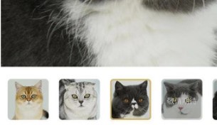 微信嚤嗷云养猫游戏新手玩法分享