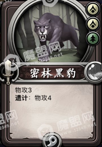 密林黑豹
