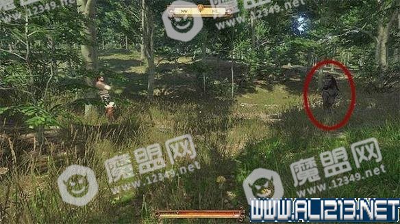 游侠网