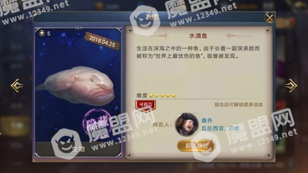 大航海之路水滴鱼在哪 隐藏鱼水滴鱼位置攻略详解[图]图片1