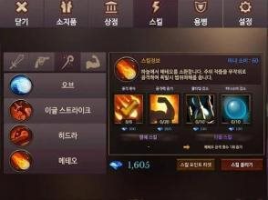 Dungeon Chronicle手游