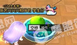 冒险岛2彩虹水灵获得及喂养方法介绍