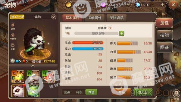 魔力宝贝手游熊猫加点推荐
