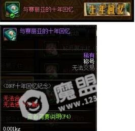 dnf与赛丽亚的十年回忆称号怎么获得 dnf与赛丽亚的十年回忆称号获得方法