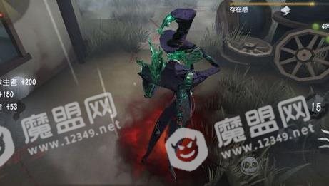 [多图]图片5