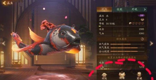魔盟网