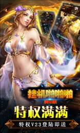 挂机啪啪啪满V版
