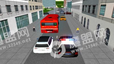 美国警车城市模拟