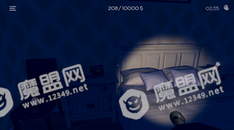 神偷模拟器
