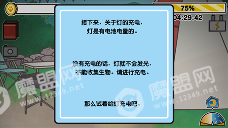 猫咪发光灯