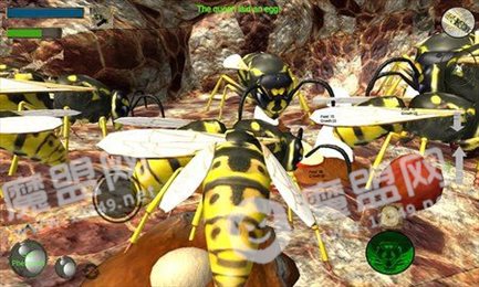 大黄蜂进化史