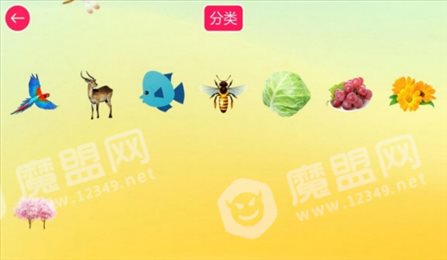 宝宝认知贴贴乐HD