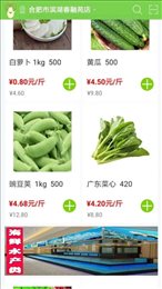 绿白菜生鲜