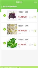 绿白菜生鲜