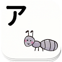 日语片假名卡(Katakana Card)
