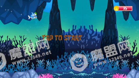 海豚探索