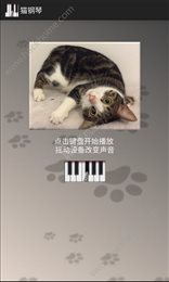 猫钢琴