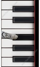 猫钢琴