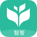 智管