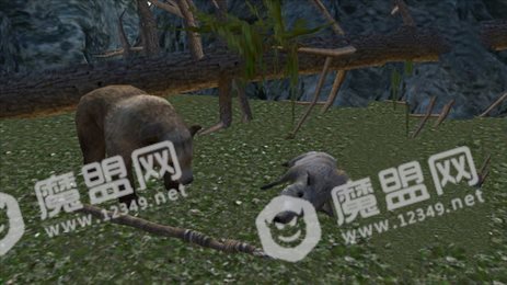 森林生存3D