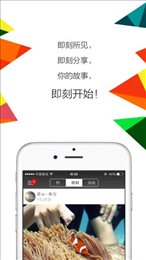 呼啦圈