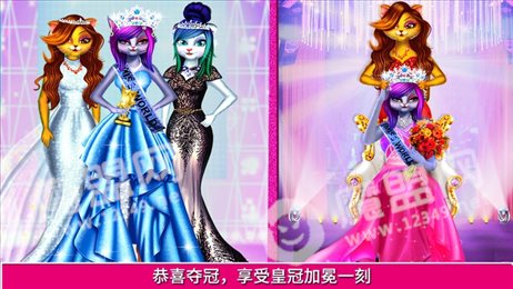 我的明星猫超模