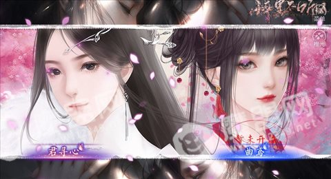 醉里不听风