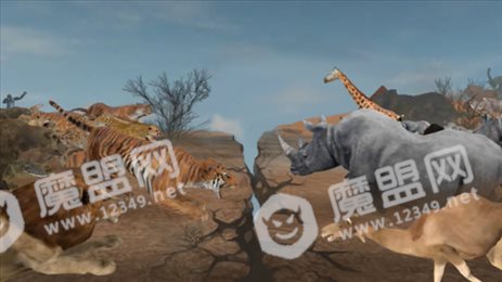 野生动物丛林法则