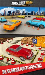 模拟驾驶停车