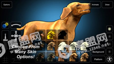模拟忠犬