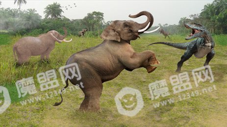 大象族群模拟器