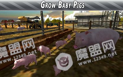 我养猪贼6