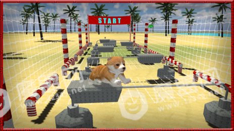 全民猫狗模拟器