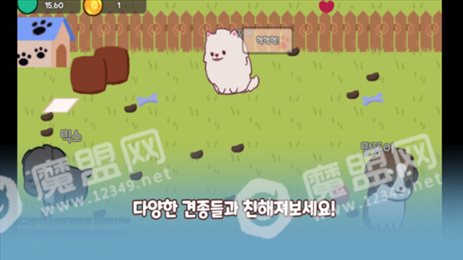 狗狗避难所模拟