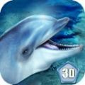 海洋海豚模拟器