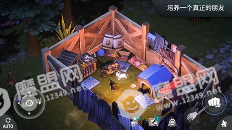 衰变年代