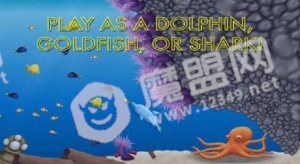 美味汪洋