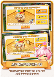 萌猫乐园