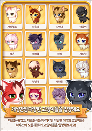 萌猫乐园